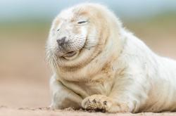 LOL赛事-跨越时空的竞技共鸣，当辽宁封锁浙江，班凯罗在意甲焦点战接管比赛