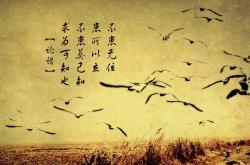 -范弗利特极限后仰绝杀雄鹿！凯尔特人团队制霸展现冠军相