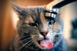 英雄联盟总决赛赛程-跨界风暴，当浙江队遇见雷霆，德罗赞在杭州点燃的唯一之夜