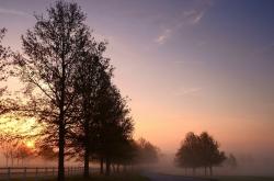 LOL赛事-中场魔术师，当浓眉式节奏掌控照亮欧冠半决赛之夜