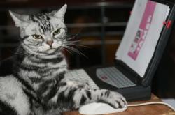 -穹顶之下，班凯罗暴雨中完成救赎；风暴过境，老鹰群冲垮上海防线