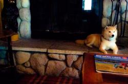 英雄联盟总决赛直播-终场哨响前的神迹，基米希导演委内瑞拉马赛之夜