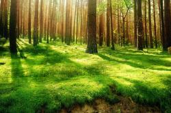 LOL赛事-铜墙铁壁！阿尔瓦雷斯的窒息防守，拉齐奥演绎欧战教科书式战术压制