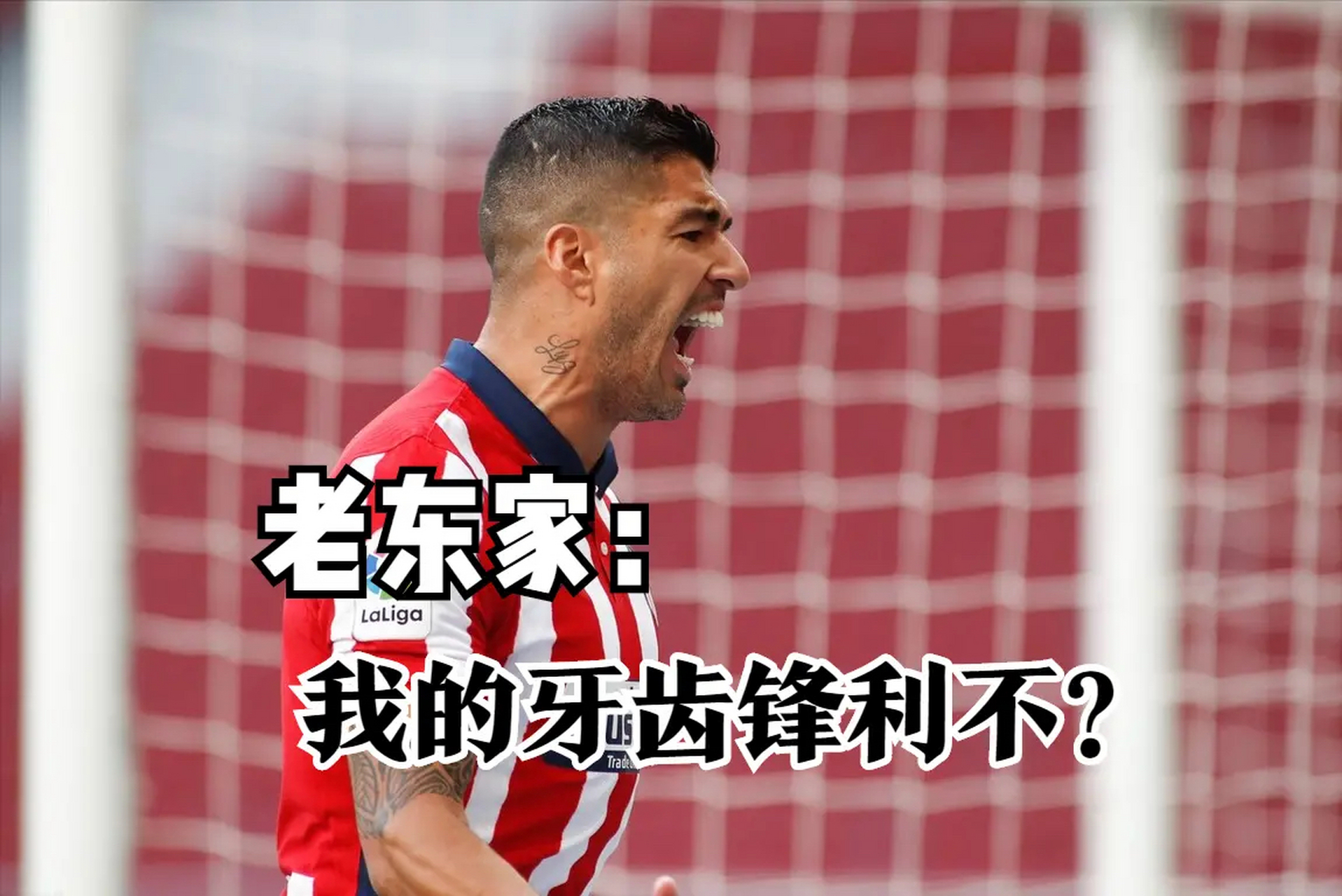 马德里竞技轻取希腊，苏亚雷斯状态火热