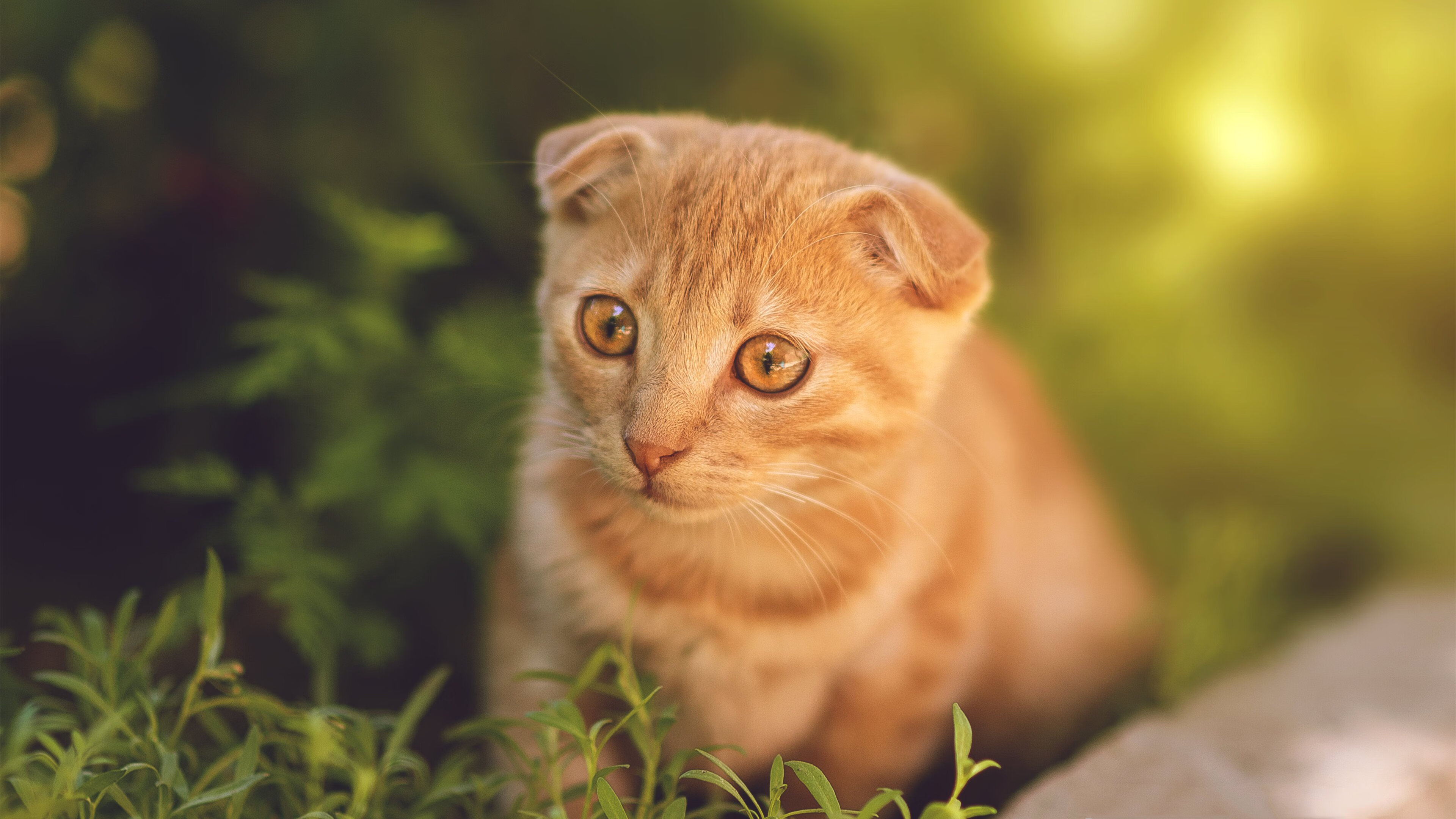 强压破局!尤文终场直击摩洛哥,迪亚斯角旗区致命一击改写结局
