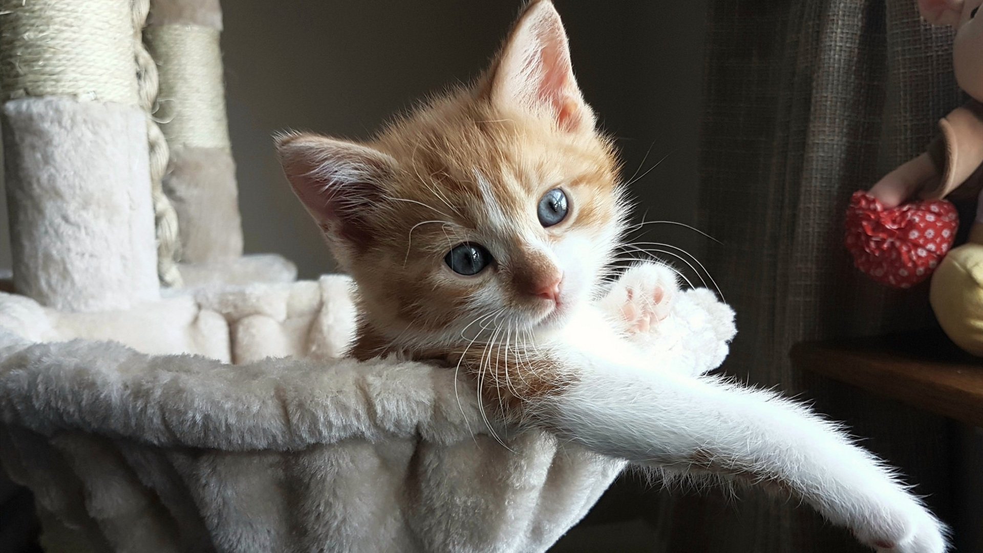 强压破局!尤文终场直击摩洛哥,迪亚斯角旗区致命一击改写结局