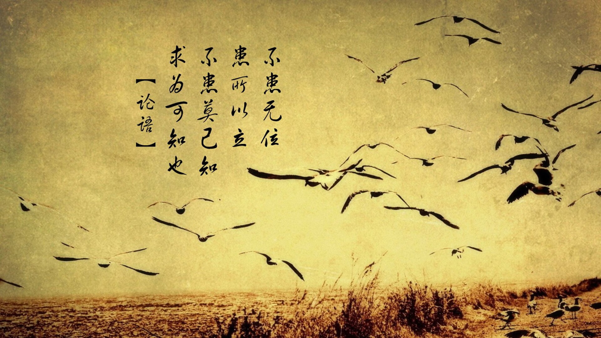 范弗利特极限后仰绝杀雄鹿！凯尔特人团队制霸展现冠军相