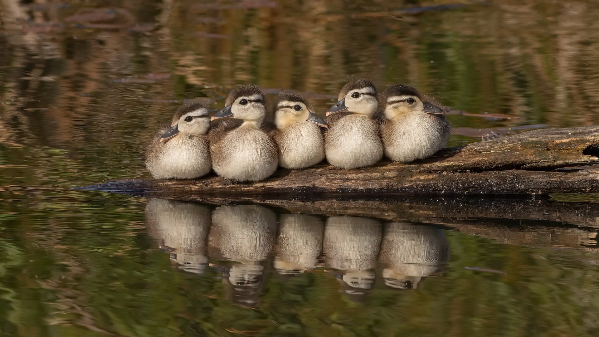 铁血红魔绝境重生!奥亚尔萨瓦尔一剑封喉拯救曼联