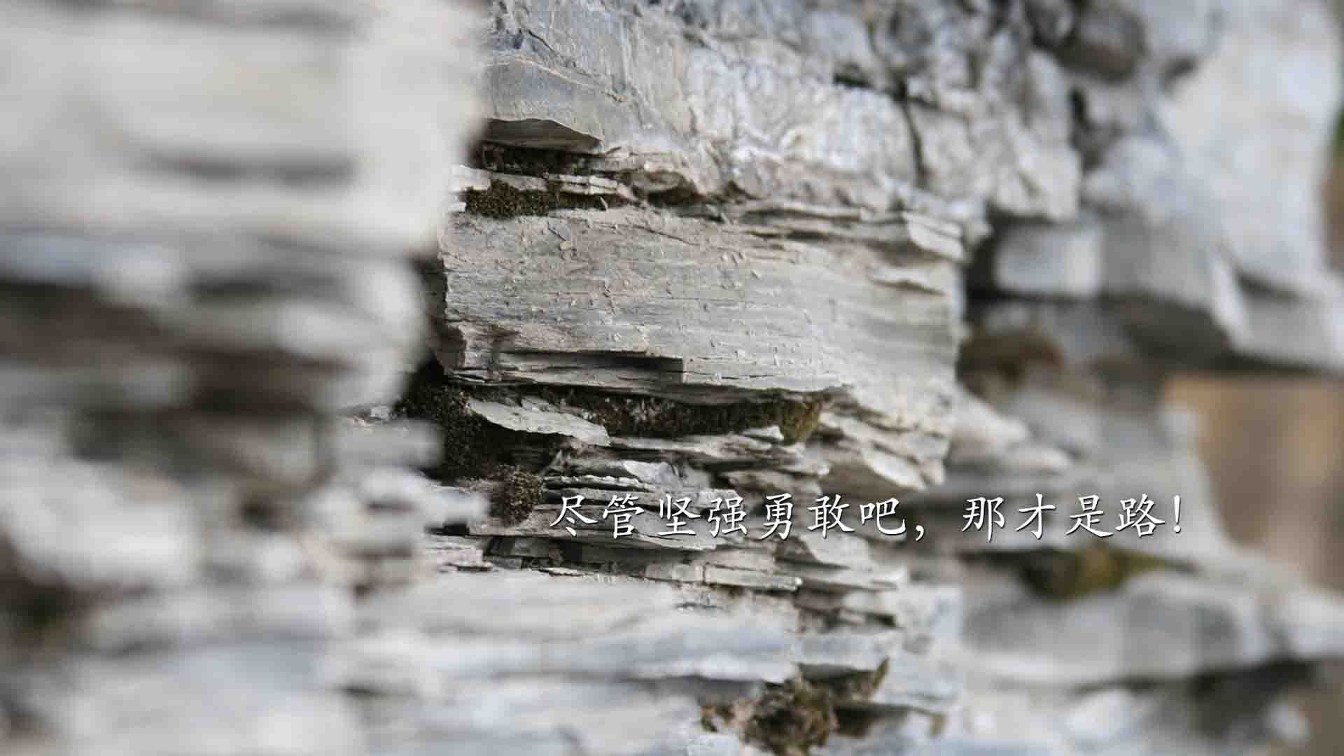 暗夜骑士，当罗德里戈在巴林夜色中扛起一支车队的重量