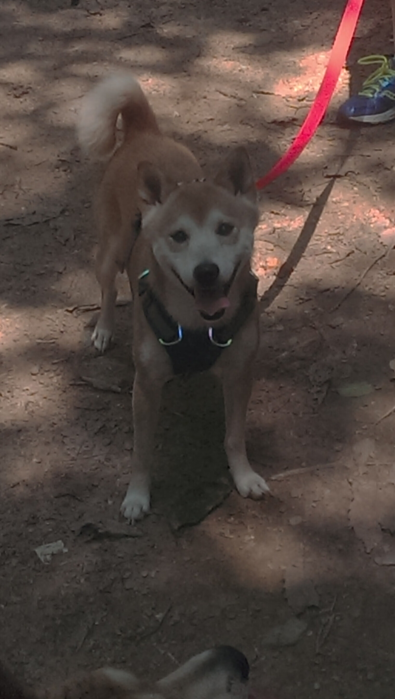 双线战役，美加墨新纪元与雷霆青春风暴的交汇