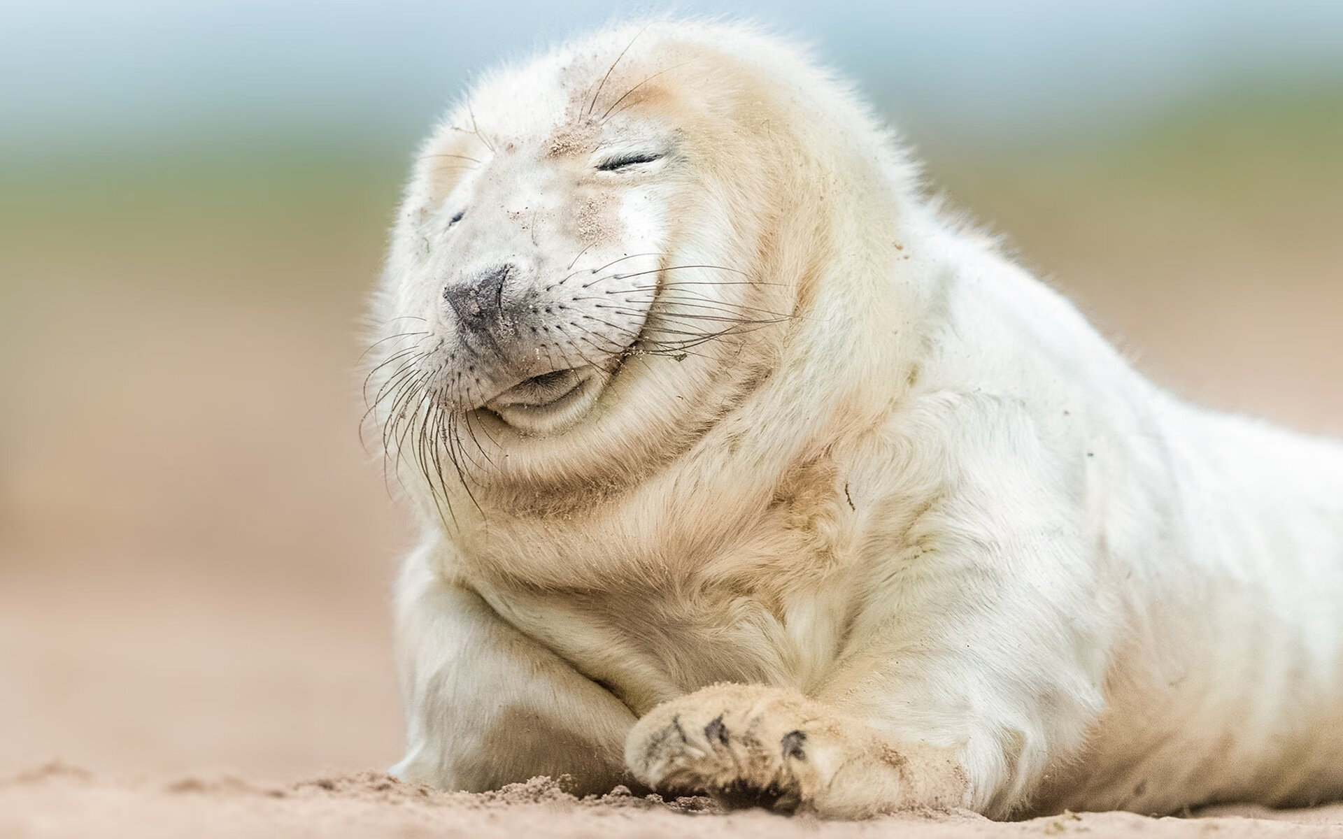 非洲新王诞生与欧洲巨星的闪耀,安哥拉制霸突尼斯,基米希在美加墨世界杯接管比赛