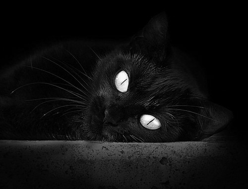 37岁的王冠，国家德比之夜，莫德里奇完成不可复制的千场传奇