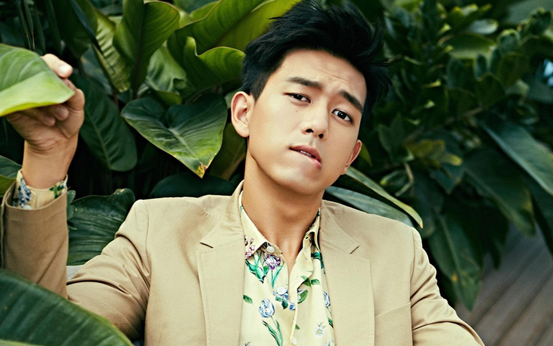 黄蜂蛰穿快船,东契奇欧冠接管—统治力的跨界共鸣