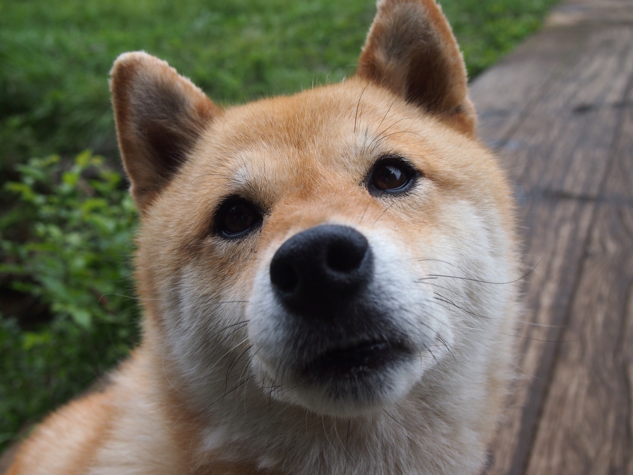 跨国硬仗，贝恩末节统治，篮网险胜浙江取关键胜利