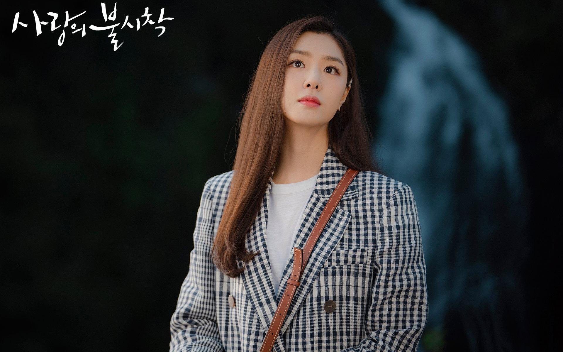 方案（供选择）