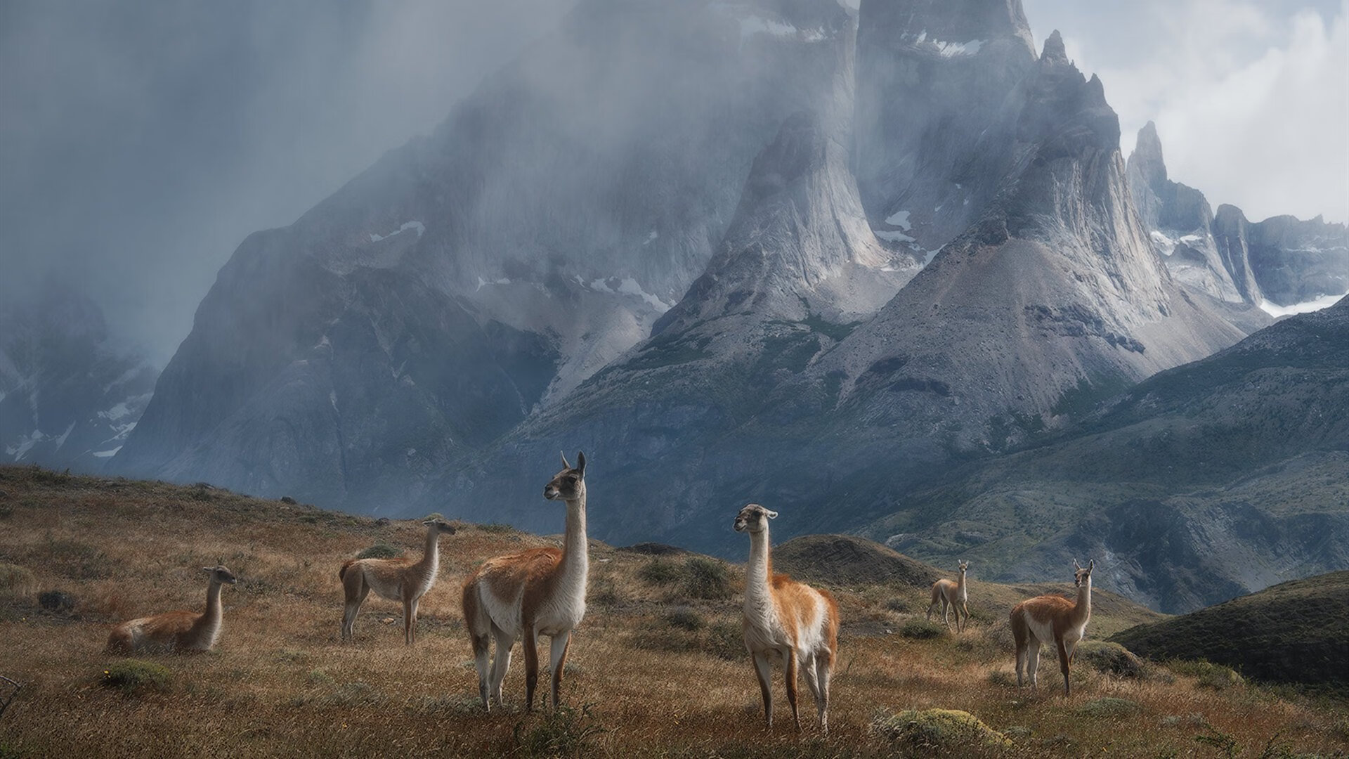 毫米的战争,当哈梅斯黄金弧线划破韩国门将最后0.01秒的希望