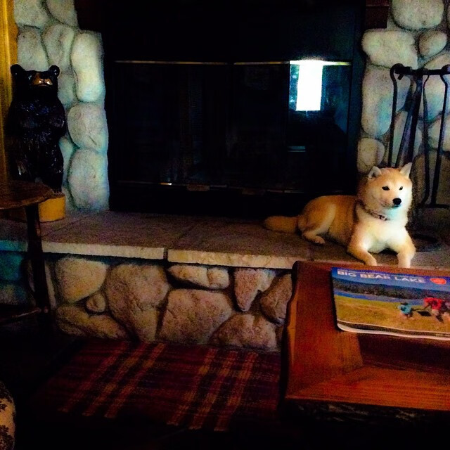 终场哨响前的神迹，基米希导演委内瑞拉马赛之夜