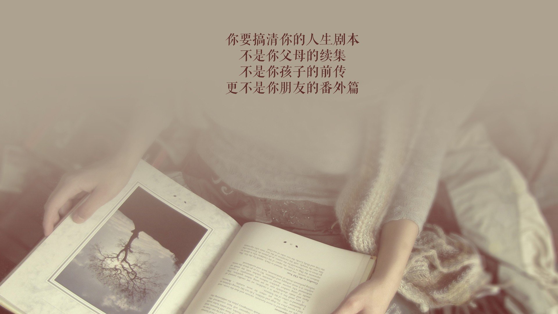 2026世界杯A组,厄瓜多尔高原风暴碾压尼日利亚,C罗不老神话续写绿茵传奇