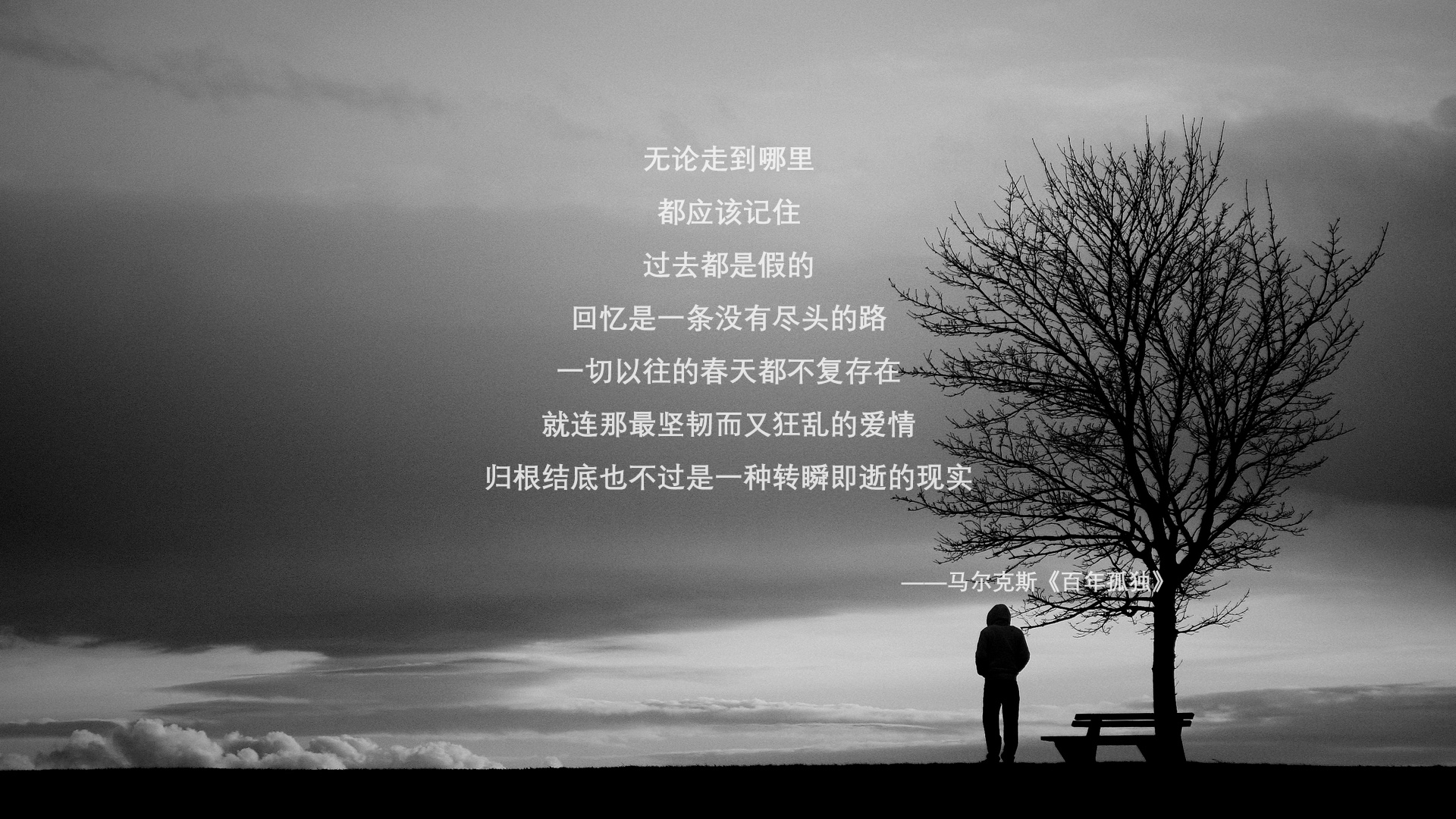 星条旗的无声革命,当罗德里戈的不完美钢琴曲奏响2026,美国足球终于找到了灵魂